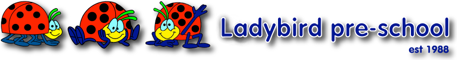 Little Ladybird Playschool